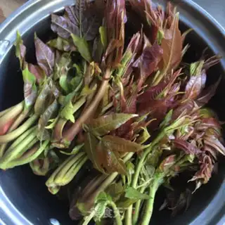 Make Sprouts and eggs step 0