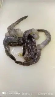 Make Emerald phoenix shrimp step 0