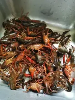 Make Garlic lobster step 0