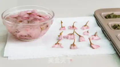 Make Sakura spends on the south snow step 14