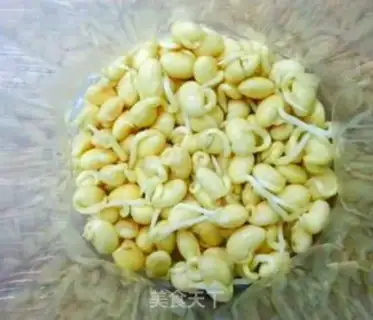 Make Soybean sprouts step 1