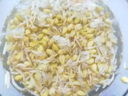 Make Soybean sprouts step 7
