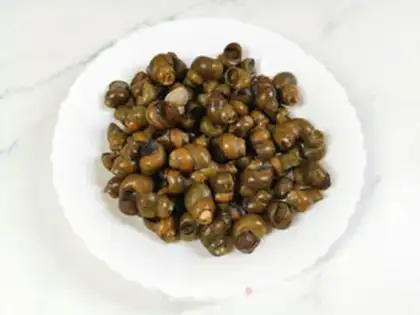 Make Sour bean snails step 0