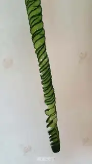 Make The cucumber step 4