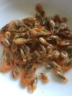 Make Shrimp step 3