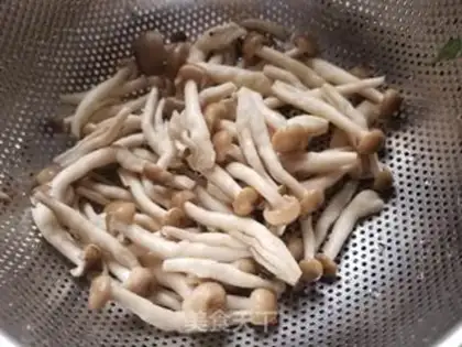 Make Shell powder step 3