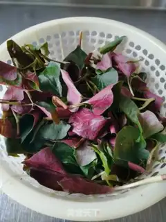 Make Frozen fish and grass step 1
