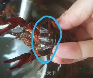 Make Thirteen spicy lobsters step 1