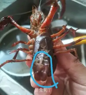 Make Thirteen spicy lobsters step 4
