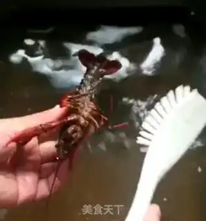 Make Thirteen spicy lobsters step 6