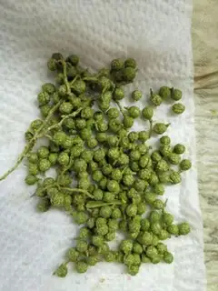 Make Twin peppers step 1