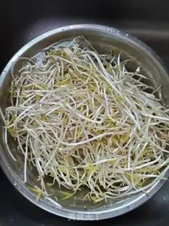 Make Onion fried green bean sprouts step 0