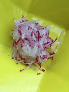 Make A radish dumpling step 6