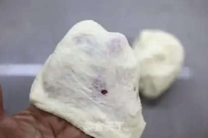 Make Precious step 2