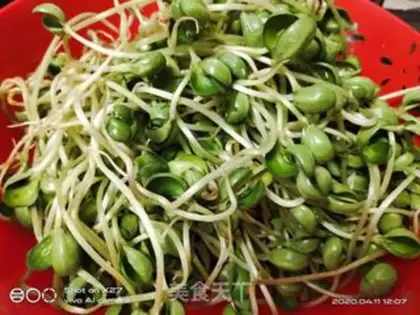 Make Black bean sprouts step 0
