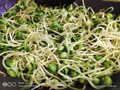 Make Black bean sprouts step 3