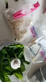 Make Homemade lale pasta step 0