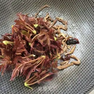 Make Fried fragrance step 8