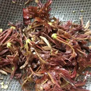 Make Fried fragrance step 13