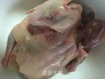 Make Salt-water pigeons step 0