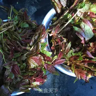 Make Save the sprouts step 1