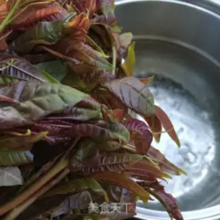 Make Save the sprouts step 2