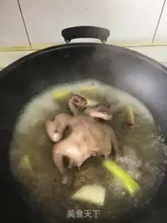 Make Salt-water pigeons step 5