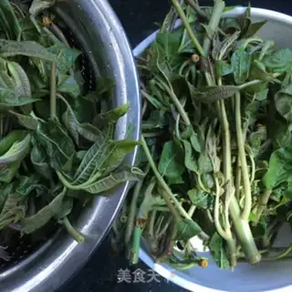 Make Save the sprouts step 3