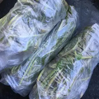 Make Save the sprouts step 5