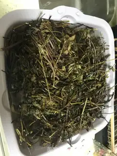 Make Cool powder step 0