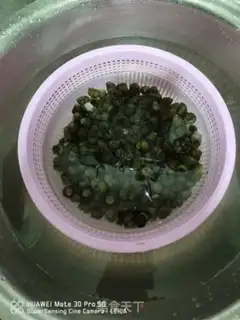 Make Spicy snails step 0