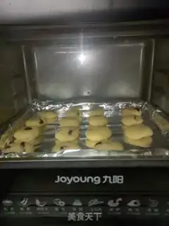 Make Cranberry biscuit step 5