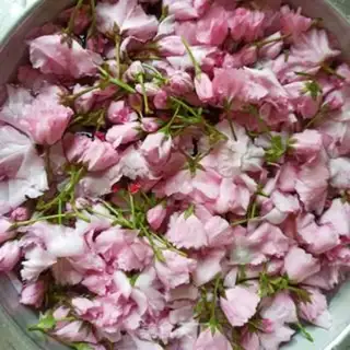 Make Salted cherry blossoms step 0