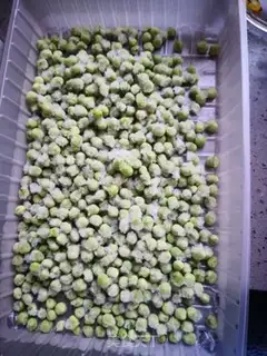 Make Peas step 0