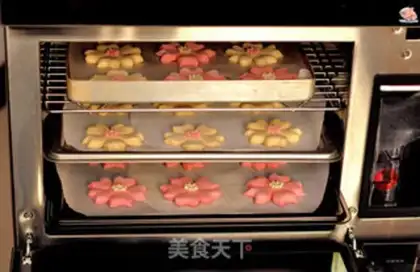 Make Sakura step 9