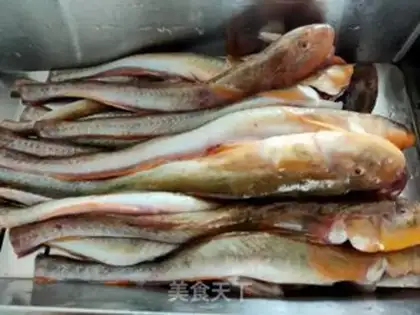 Make Catfish tofu step 1