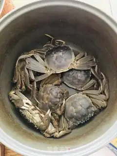 Make Crabs evaporating rice fields step 0