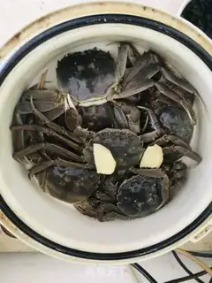 Make Crabs evaporating rice fields step 2
