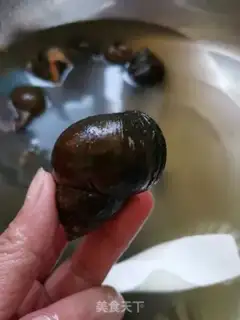 Make Snails step 1