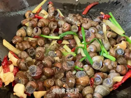 Make The snail step 5
