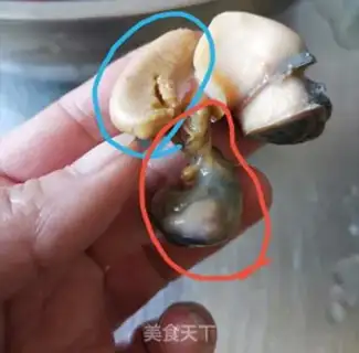 Make Snails step 6