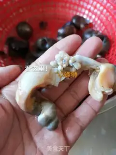Make Snails step 7