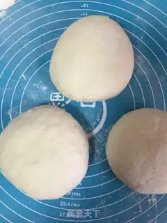 Make Fist step 9