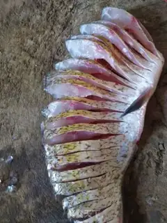 Make It
