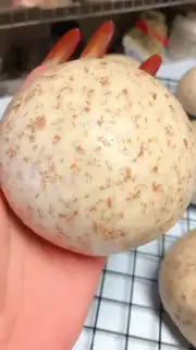 Make A simple version of the whole wheat bun step 13