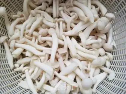 Make The white mushrooms are fried with beans step 1