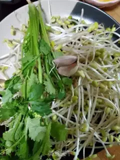 Make A fragrance with soybean sprouts step 0