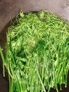 Make White sauerkraut step 1