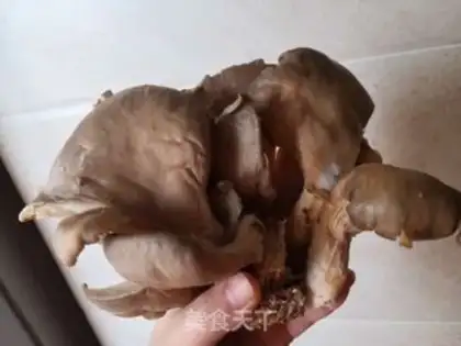 Make Dry-dry fresh mushrooms step 0
