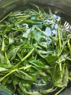 Make Garlic cabbage step 0